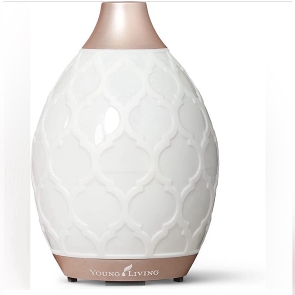 Young Living | Other | Young Living Desert Mist Diffuser Bnib | Poshmark